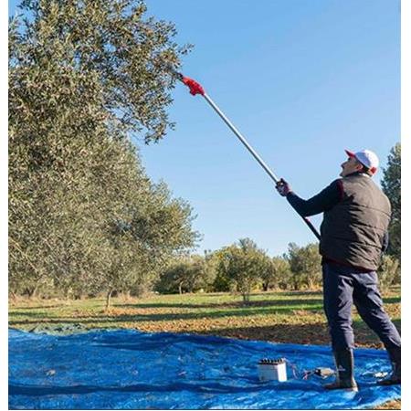 Zeytin Hasat Makinesi Rehberi (2026)