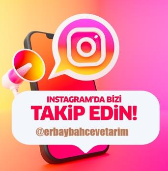 instagram takip