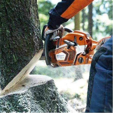 Husqvarna 562 XP 3.5 kW Benzinli Ağaç Kesme Makinesi