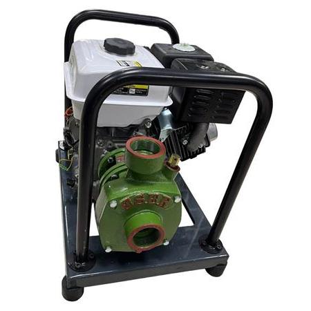 Gardenpro WP-20/145H Yüksek Basınçlı Döküm Pompalı Su Motoru 145 mt 9 Hp YENİ