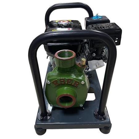 Gardenpro WP-20/140H Yüksek Basınçlı Döküm Pompalı Su Motoru 140 mt 7 Hp YENİ