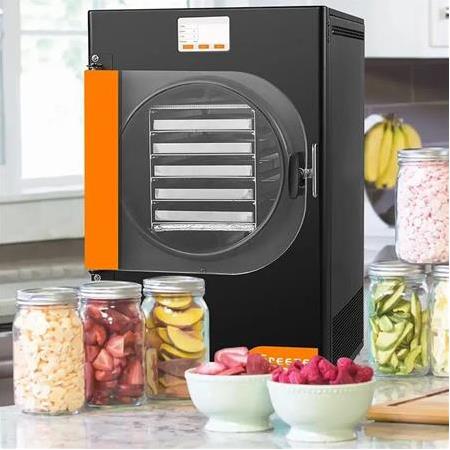 Dalle DFD-10 Yüksek Teknolojili Freeze Dryer Dondurarak Kurutma Fırını - Liyofilizatör