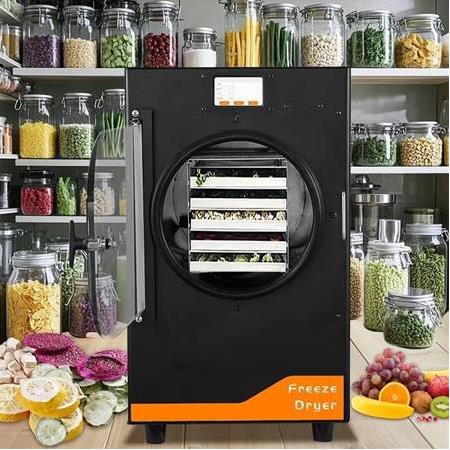 Dalle DFD-10 Yüksek Teknolojili Freeze Dryer Dondurarak Kurutma Fırını - Liyofilizatör