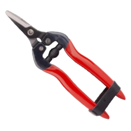 Palmera SP16 Meyve Toplama Makası